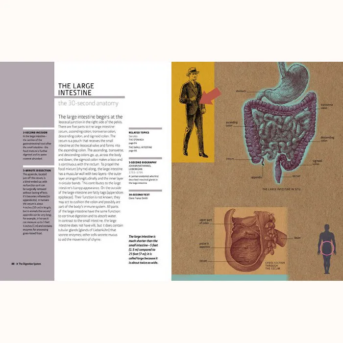 30-Second Anatomy (Paperback)