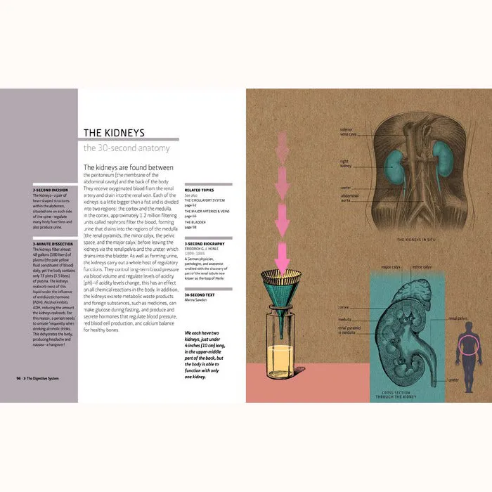 30-Second Anatomy (Paperback)