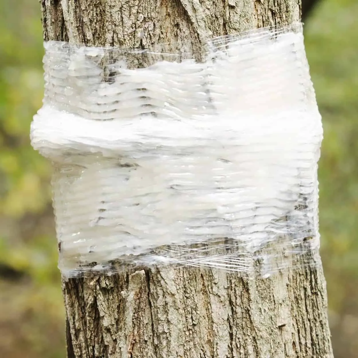 Catchmaster Tree Banding Kit # TB-HEAVY