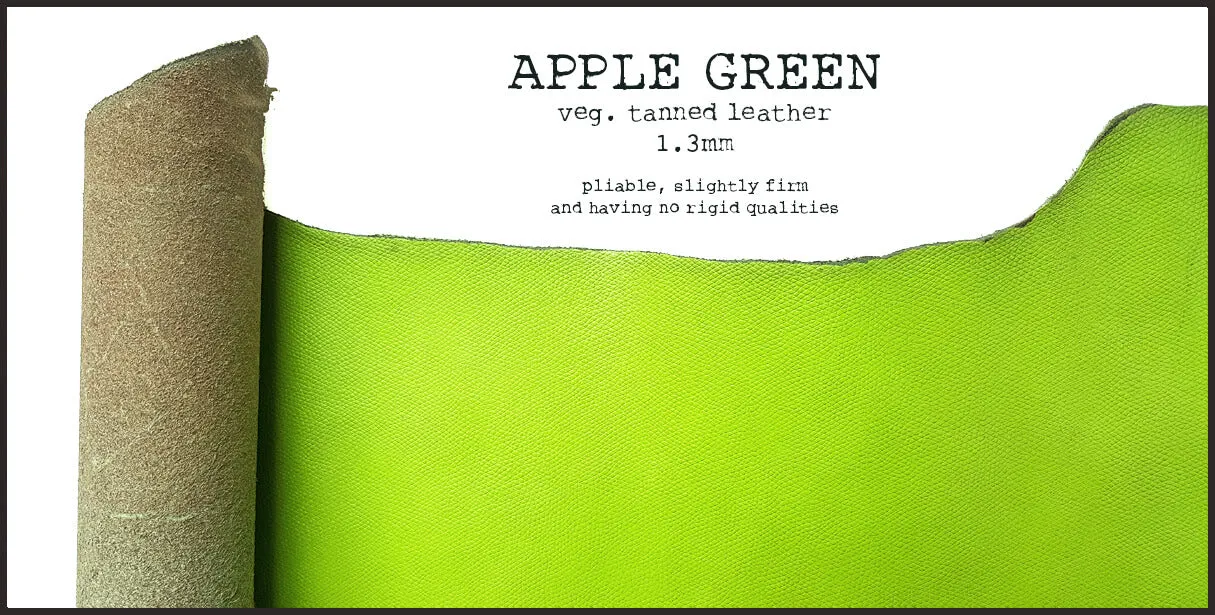 R.atelier Pocket TN Leather Folio | Apple Green