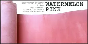 R.atelier Pocket TN Leather Folio | Watermelon Pink