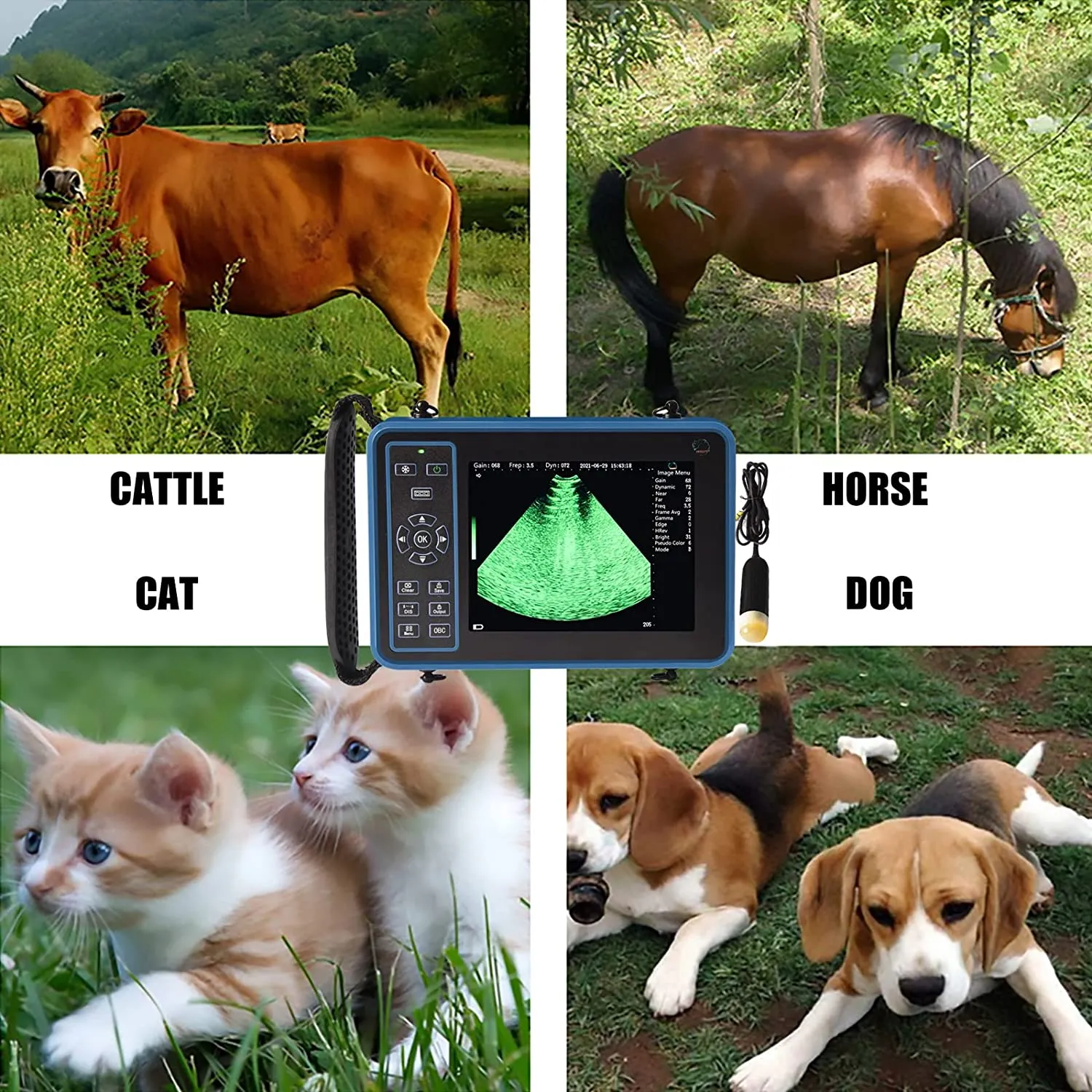 Ultrasound Scanner Veterinary for Pregnancy I Vet Digital Portable B-Ultra Sound Scanner Machine with 3.5 Mhz Convex Probe 8 Color Panels for Sheep, Dog, Cat and Pig Pregnancy Test
