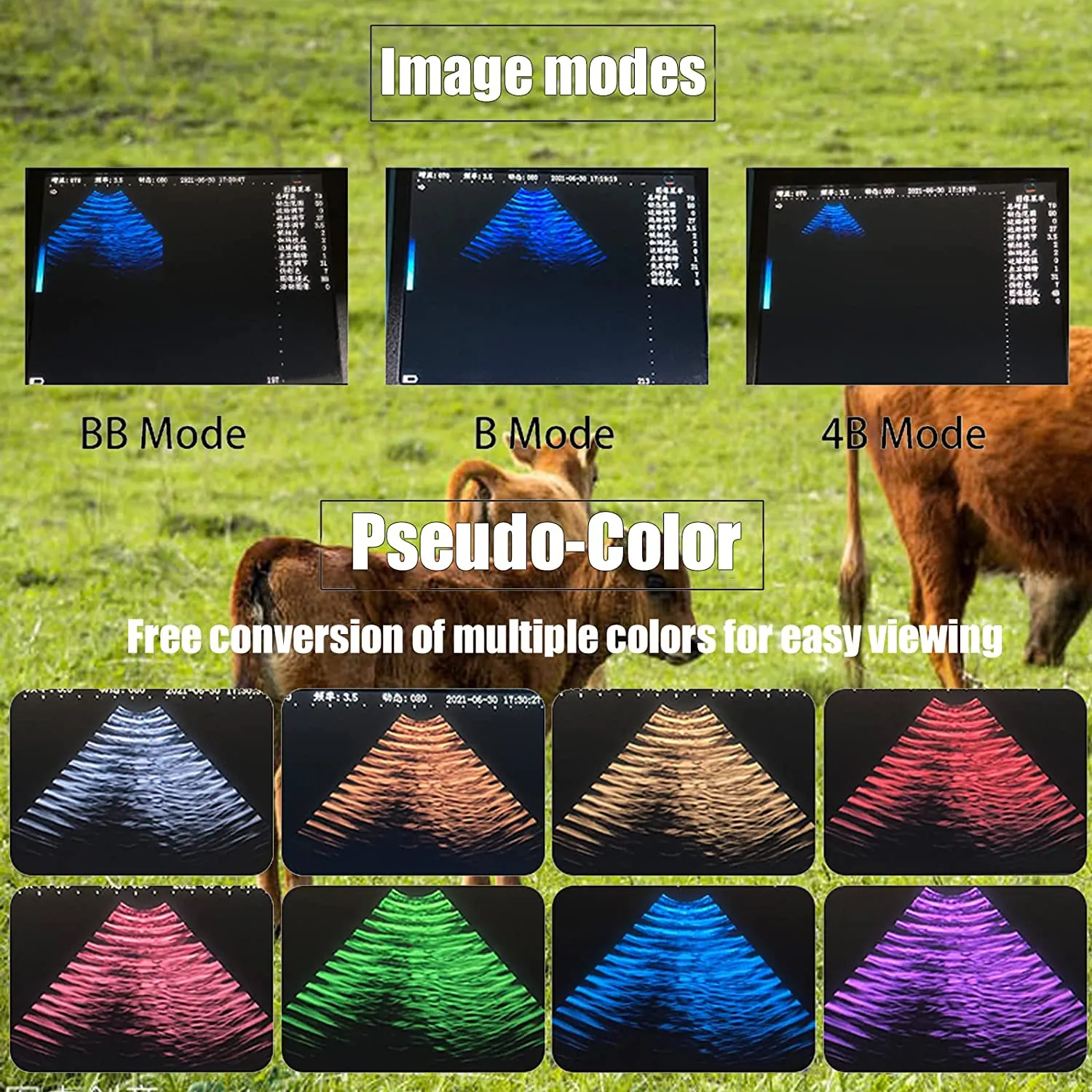 Ultrasound Scanner Veterinary for Pregnancy I Vet Digital Portable B-Ultra Sound Scanner Machine with 3.5 Mhz Convex Probe 8 Color Panels for Sheep, Dog, Cat and Pig Pregnancy Test