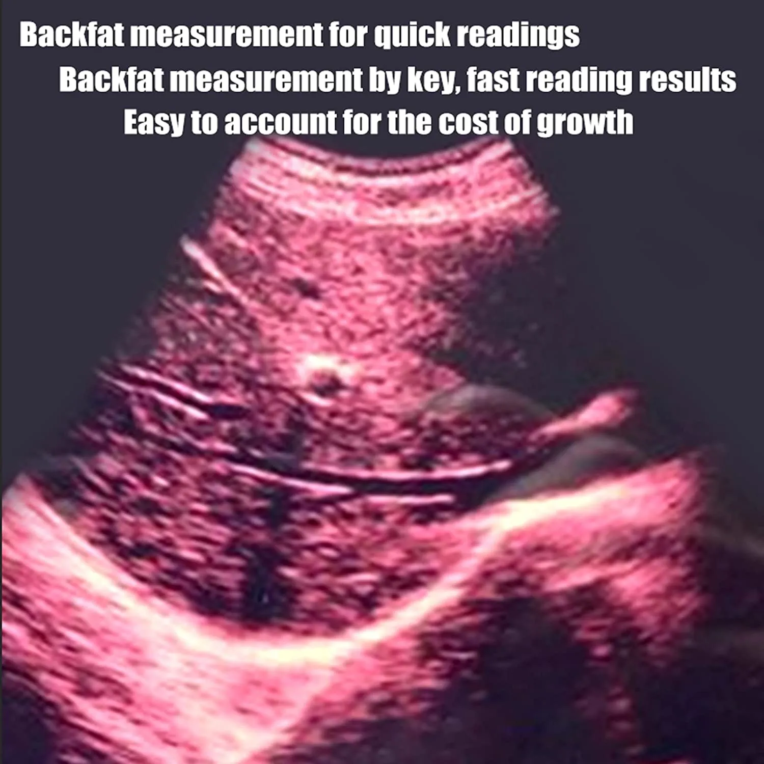 Ultrasound Scanner Veterinary for Pregnancy I Vet Digital Portable B-Ultra Sound Scanner Machine with 3.5 Mhz Convex Probe 8 Color Panels for Sheep, Dog, Cat and Pig Pregnancy Test