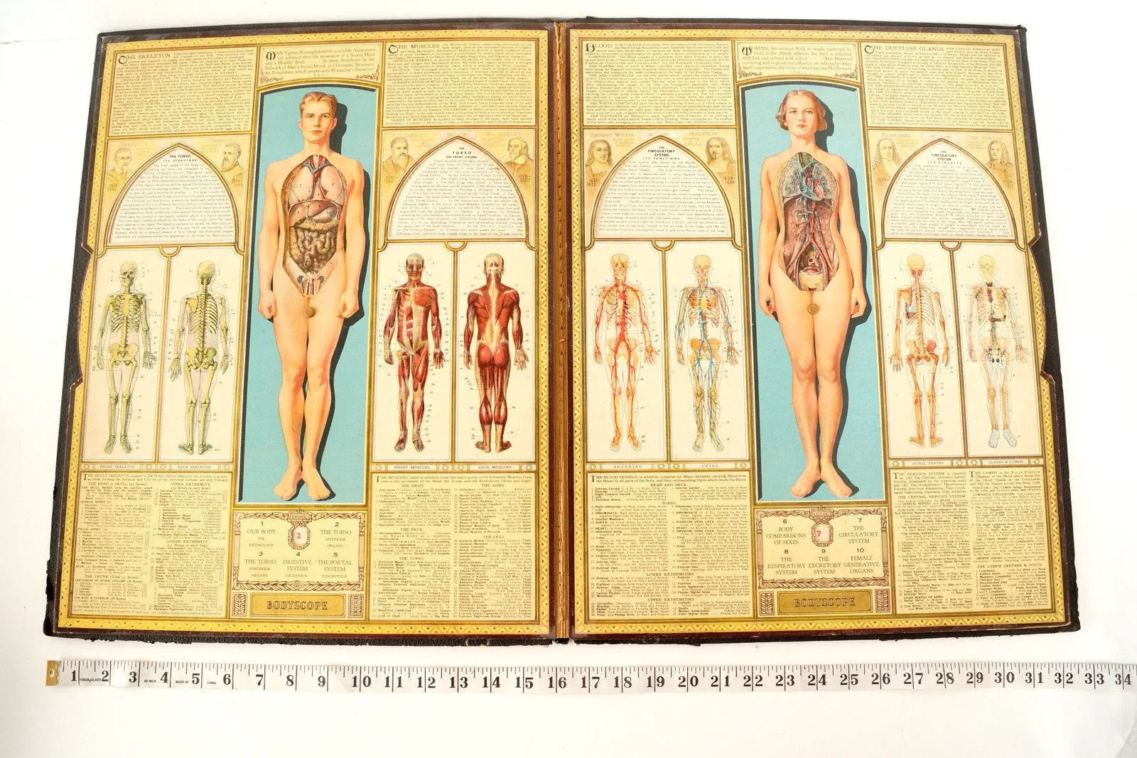 Vintage "Bodyscope" Illustrated Anatomical Book with Dials (c.1935)