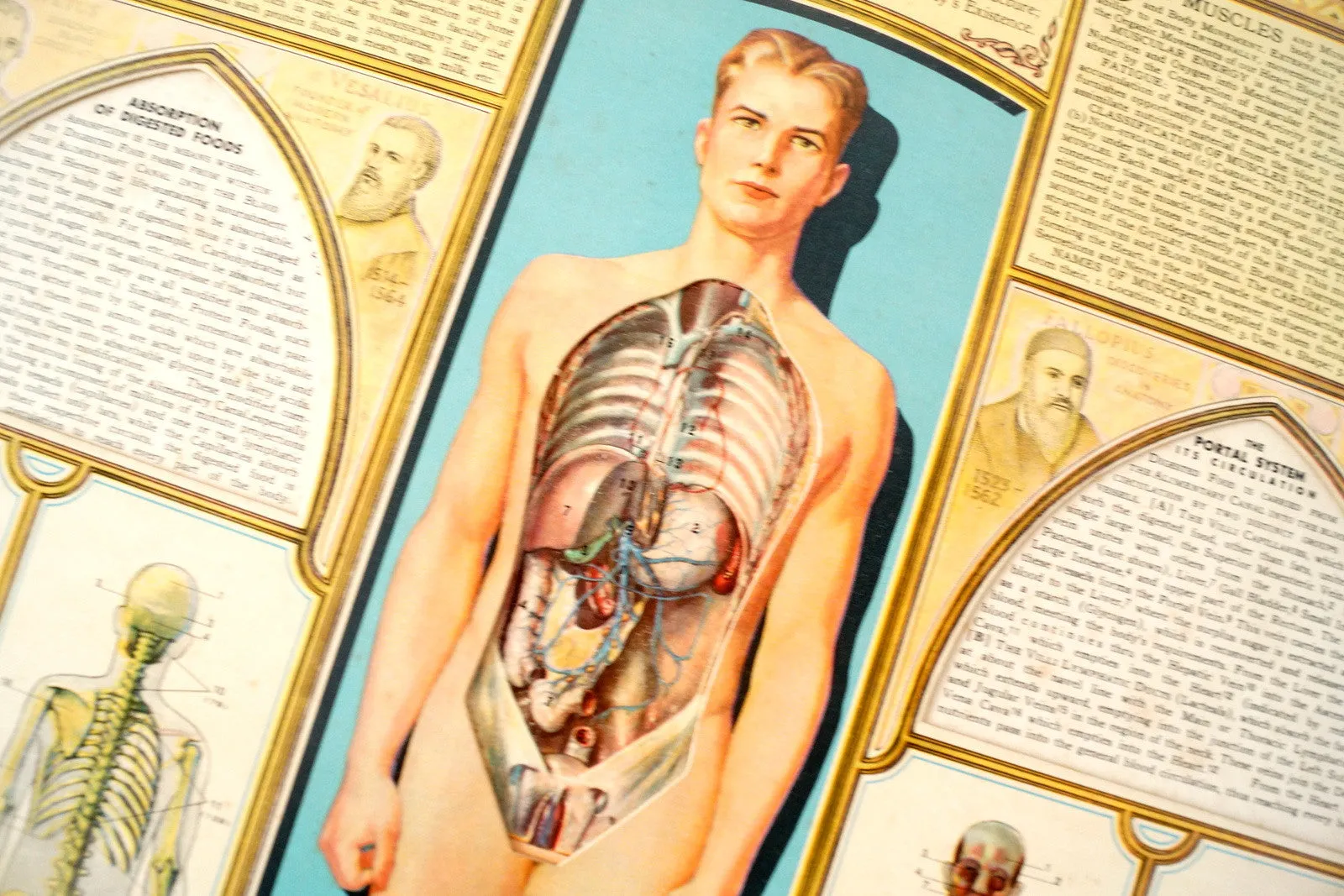 Vintage "Bodyscope" Illustrated Anatomical Book with Dials (c.1935)