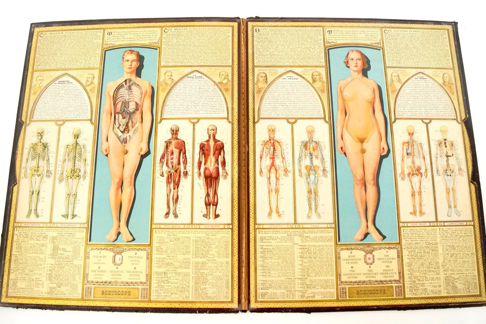 Vintage "Bodyscope" Illustrated Anatomical Book with Dials (c.1935)