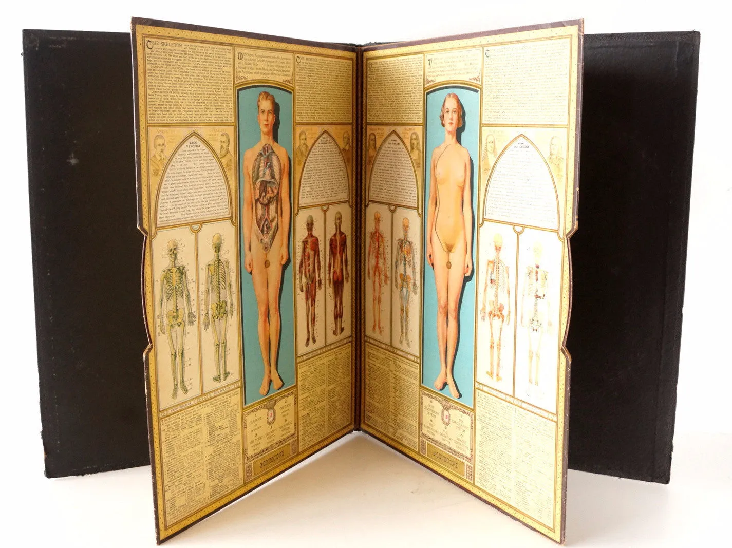 Vintage "Bodyscope" Illustrated Anatomical Book with Dials (c.1935)