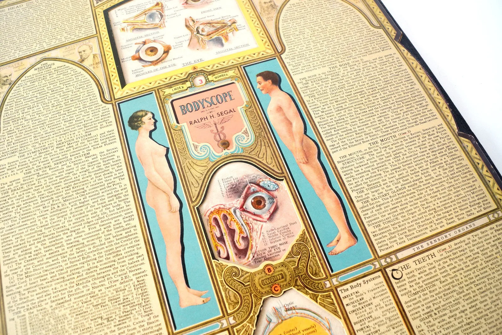 Vintage "Bodyscope" Illustrated Anatomical Book with Dials (c.1935)