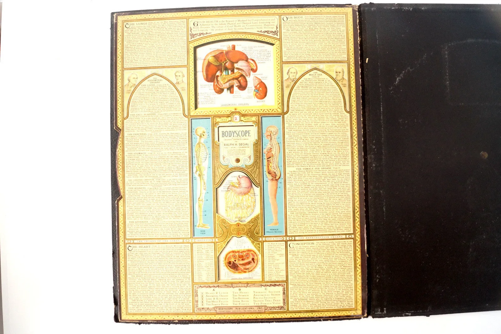 Vintage "Bodyscope" Illustrated Anatomical Book with Dials (c.1935)